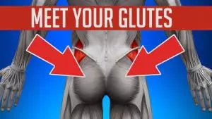 Finding Your Glutes